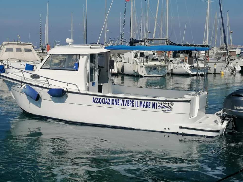 Esplora Taranto in barca: una giornata intera sull'acqua a bordo di un motoscafo.
