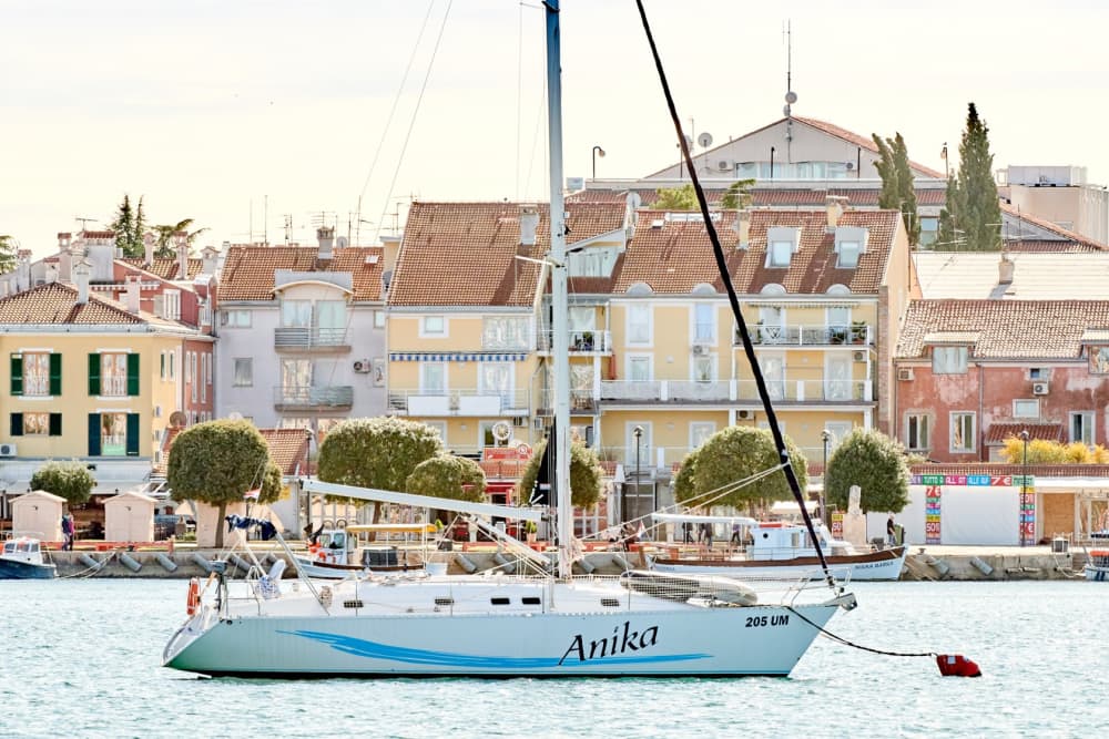 Full-day sailing experience in Umag