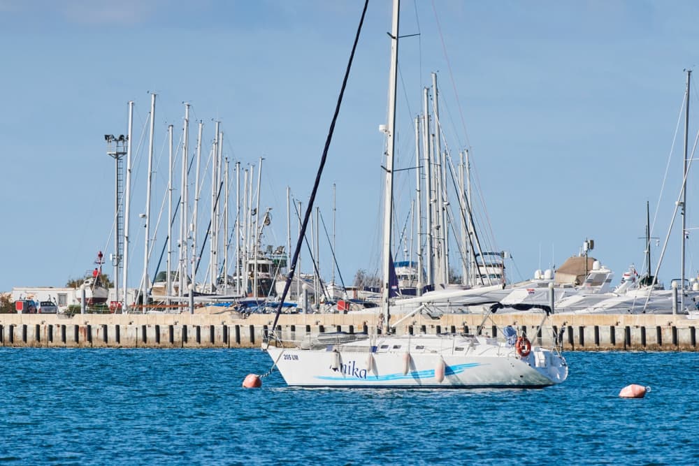 Full-day sailing experience in Umag