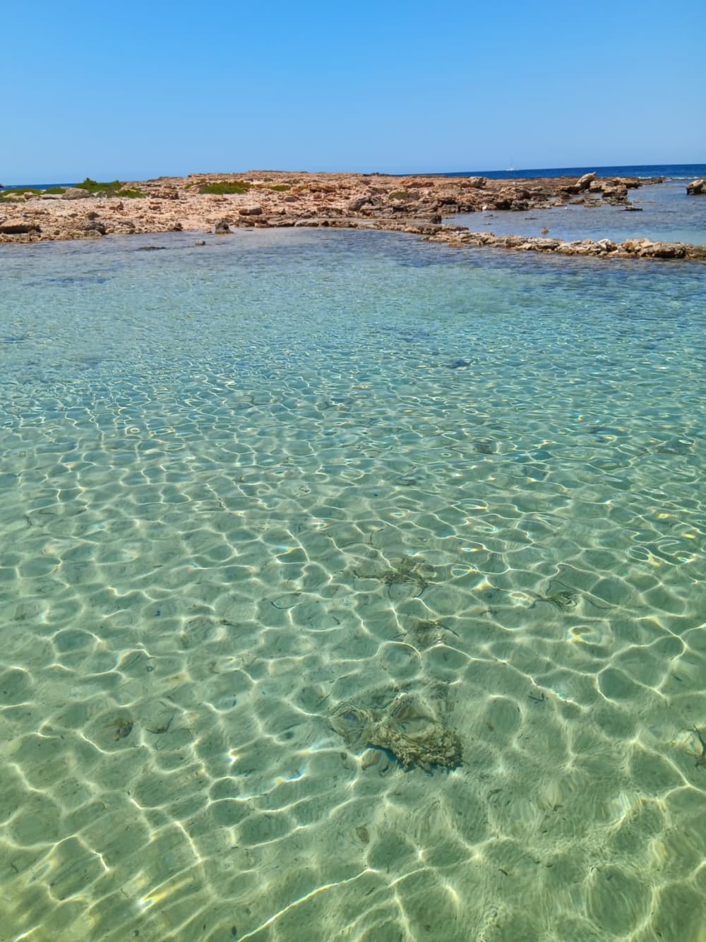 Formentera Infinita: giornata intera di libertà su un catamarano privato