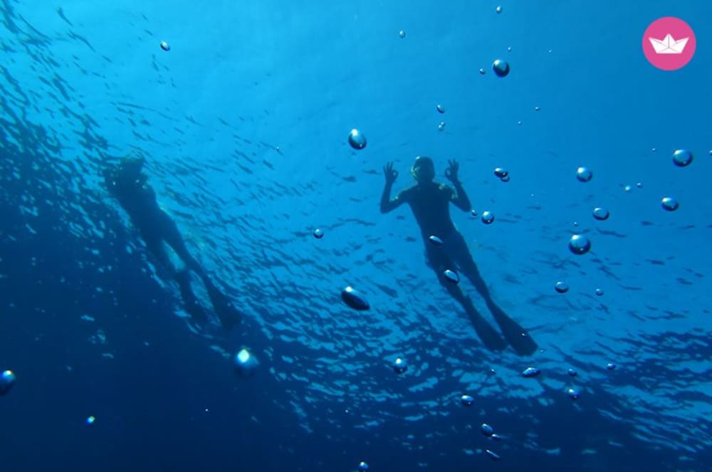 Giornata alla scoperta delle isole e delle calette selvagge con partenza da Sanary-sur-Mer