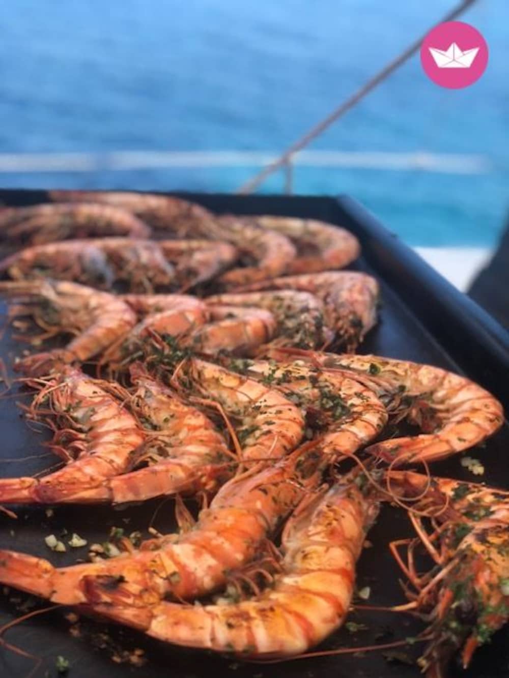 Giornata alla scoperta delle isole e delle calette selvagge con partenza da Sanary-sur-Mer