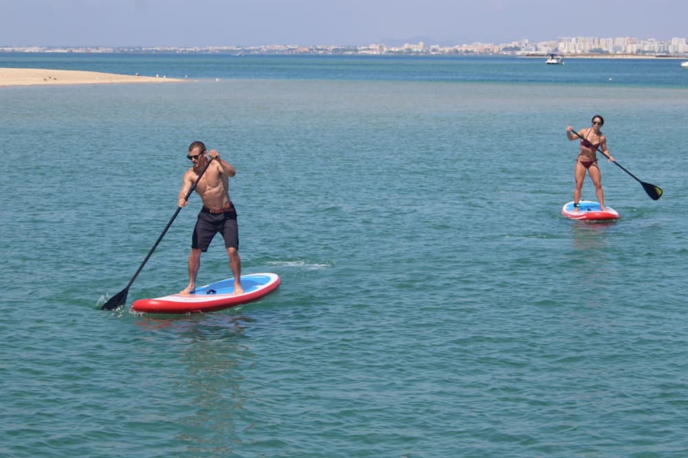 Excursion d'une demi-journée en catamaran à Ria Formosa