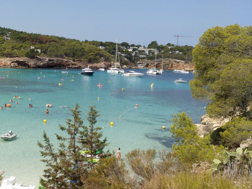 Half-Day Morning Sail: 4-Hour Cruise to the Blue Waters of the Mediterranean and Playa del Saler from Valencia