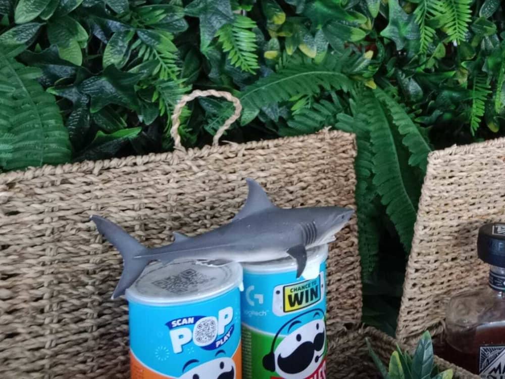 Απολαύστε μια ολόκληρη μέρα σε ένα καταμαράν σε 15