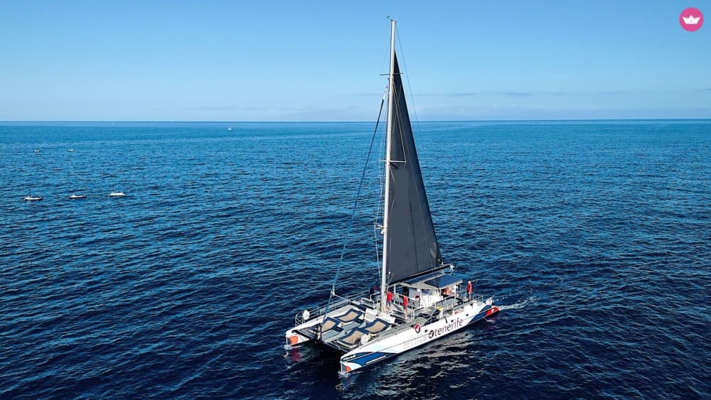 Excursion d'une journée en catamaran à Costa Adeje