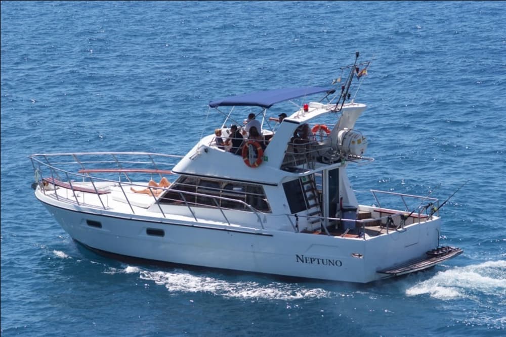 Excursion en bateau à moteur d'une demi-journée à Los Cristianos