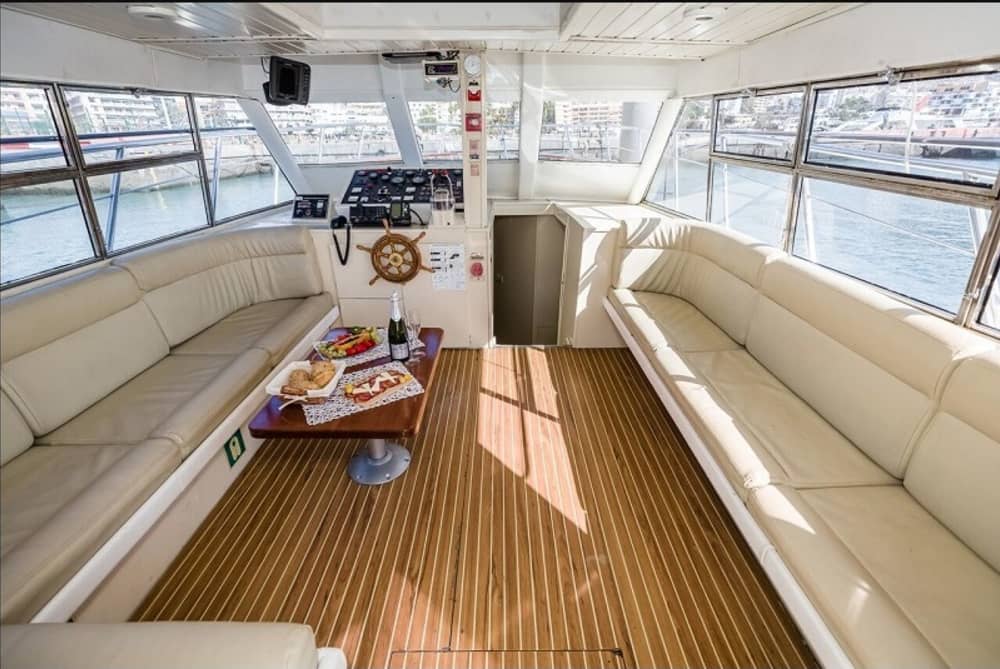 Excursion en bateau à moteur d'une demi-journée à Los Cristianos