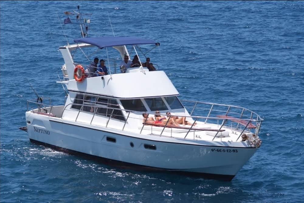 Excursion en bateau à moteur d'une demi-journée à Los Cristianos