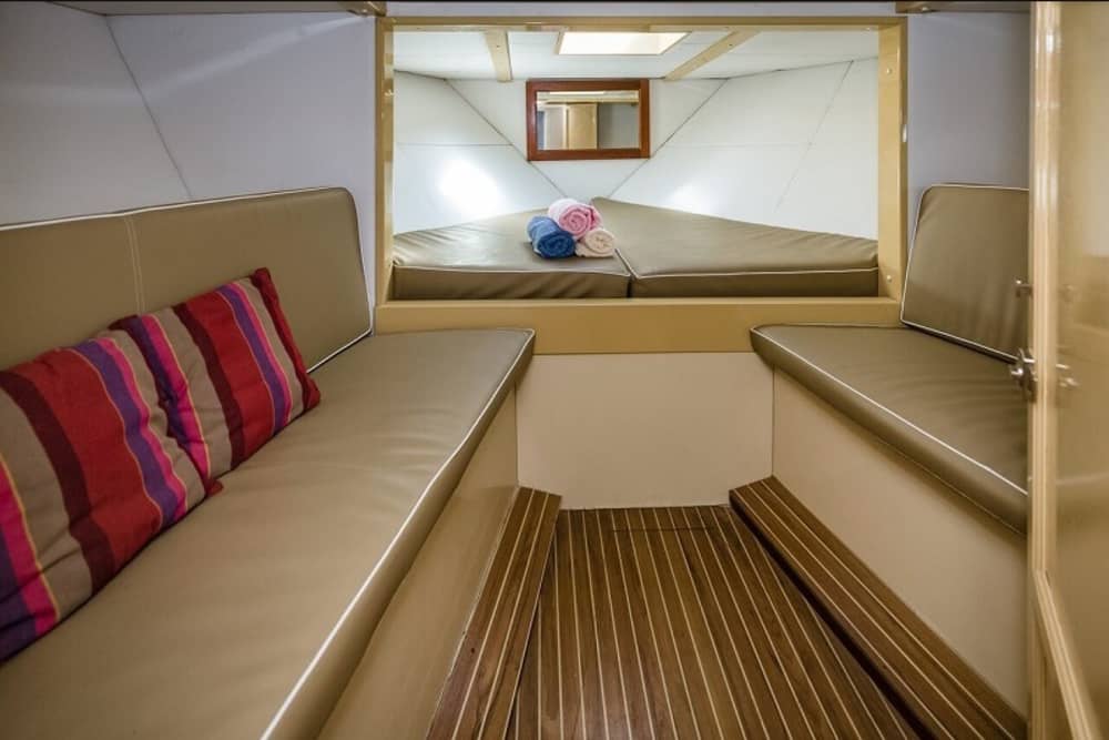 Excursion en bateau à moteur d'une demi-journée à Los Cristianos