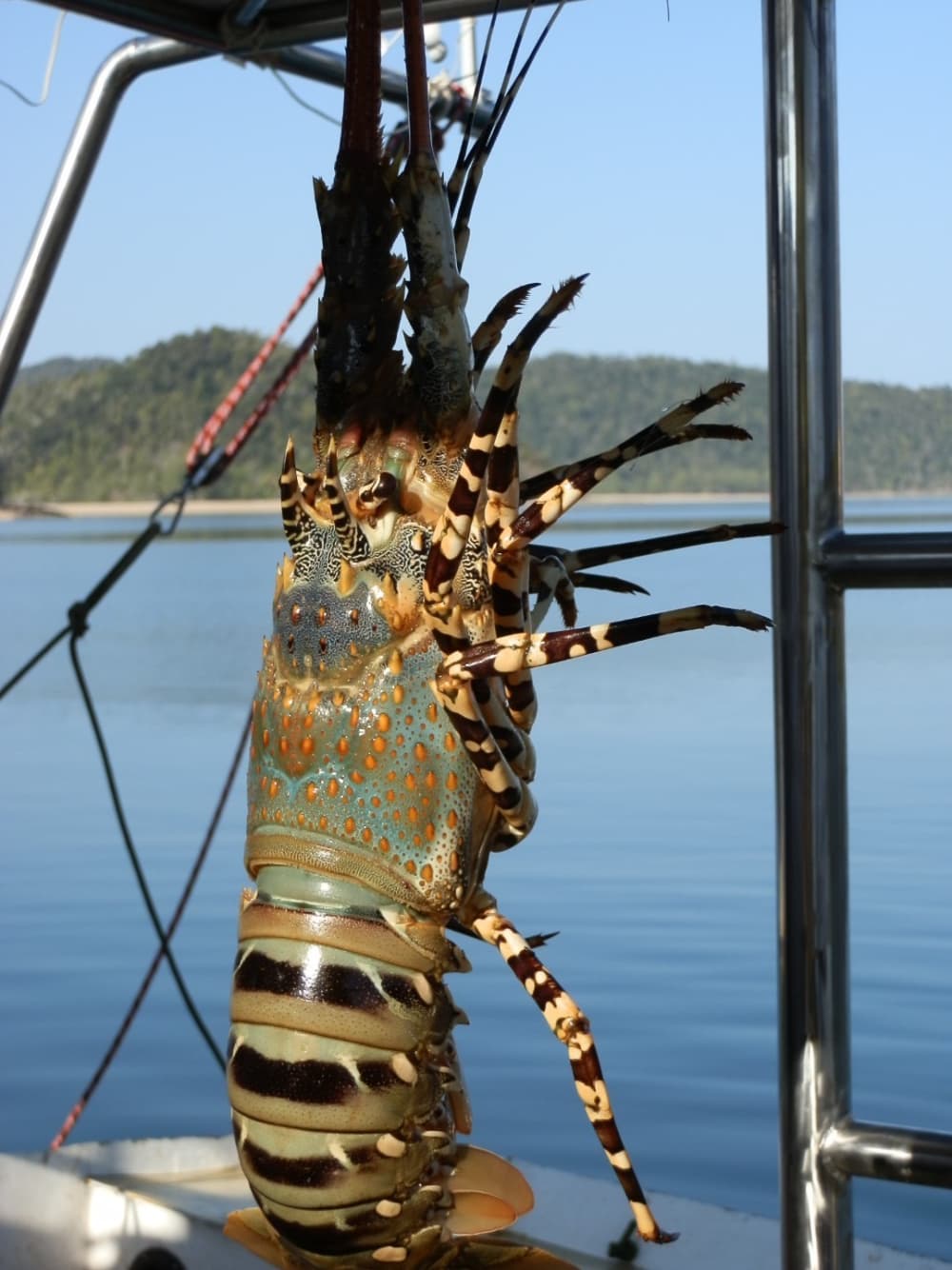 Ganztägige Katamaranvermietung in Nosy Beach