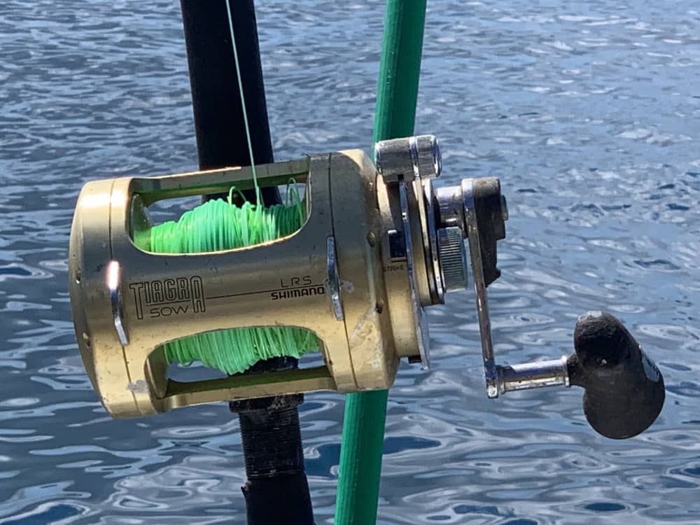 Catamaran huren voor een hele dag in Nosy Be