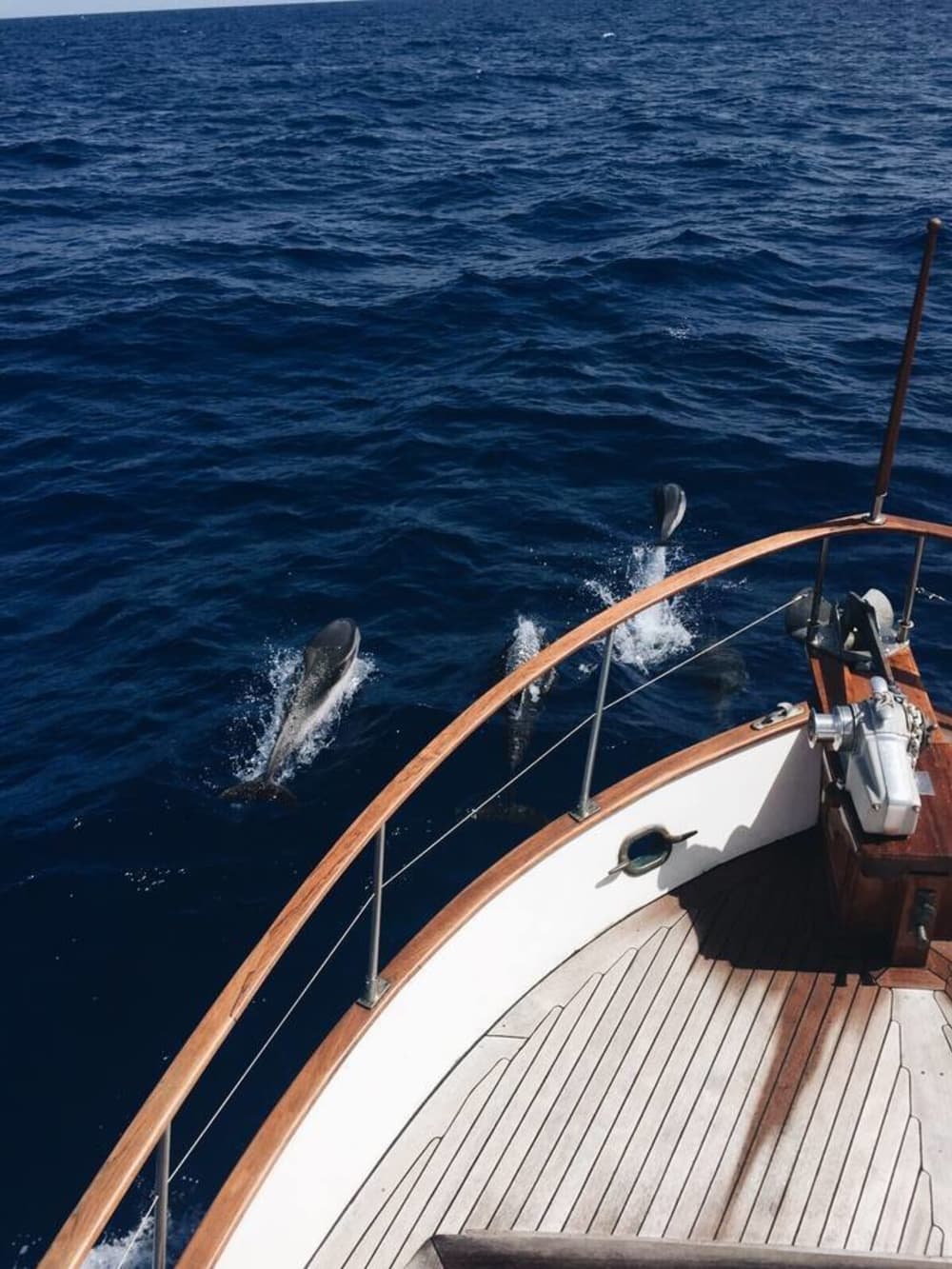 Privé boottocht rond Portoferraio op een motorboot.