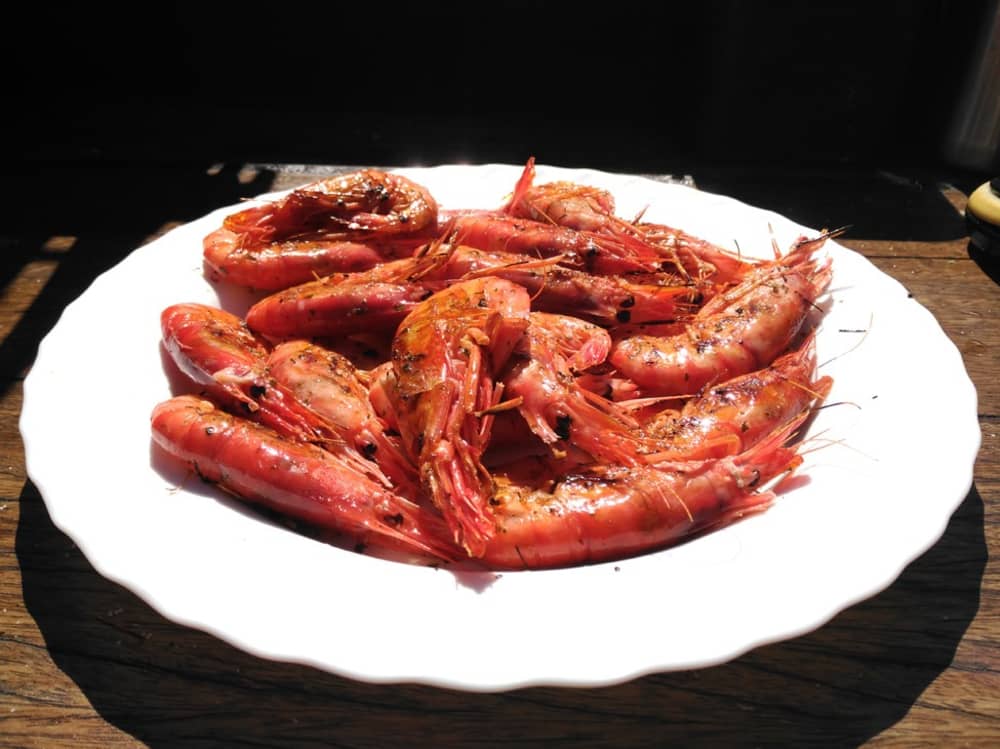 Sea Escape – Halvdag ombord på Rafael Verdera