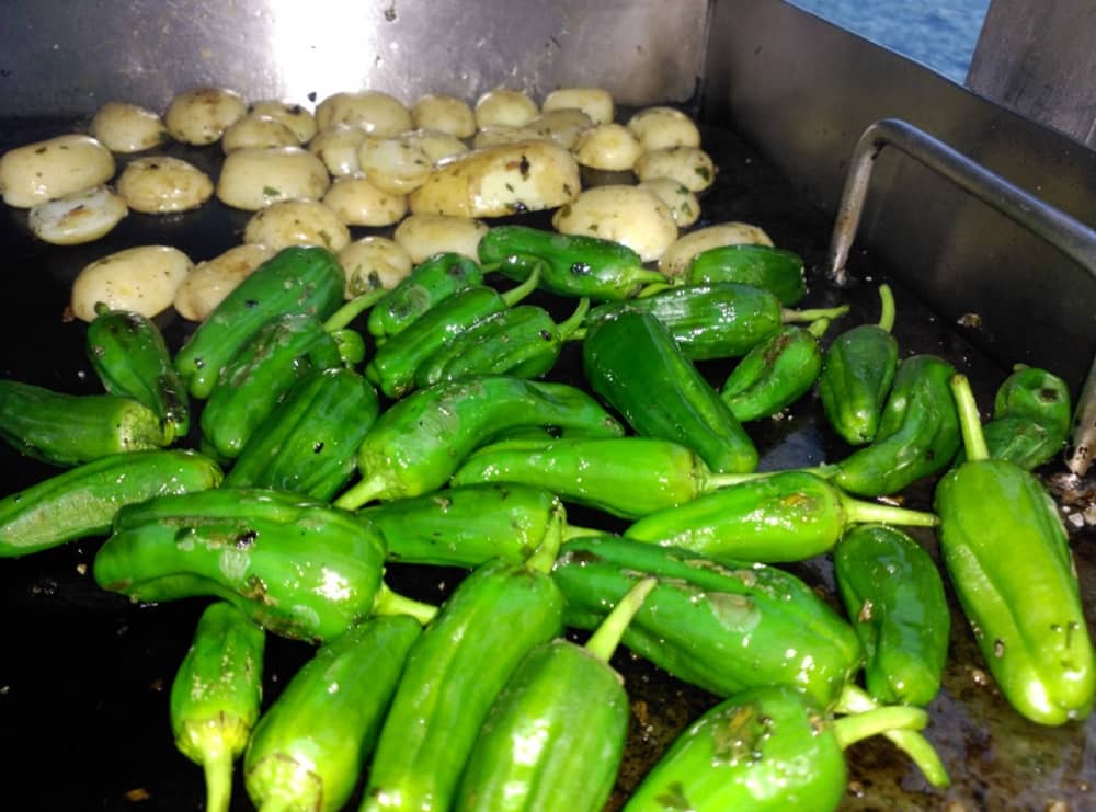 Sea Escape – Halvdag ombord på Rafael Verdera