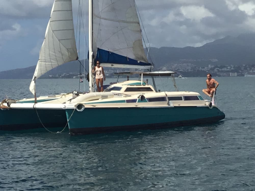 Découvrez la Martinique lors d'une excursion d'une journée privative en catamaran.