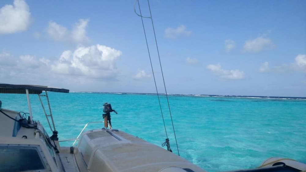 Découvrez la Martinique lors d'une excursion d'une journée privative en catamaran.