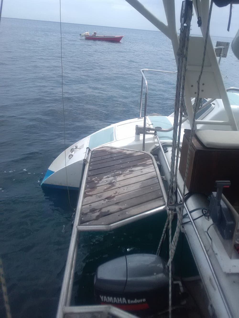Découvrez la Martinique lors d'une excursion d'une journée privative en catamaran.