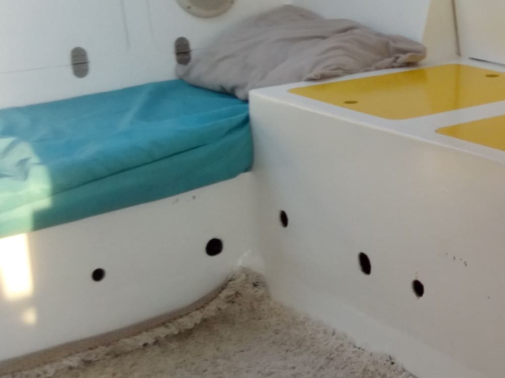 Découvrez la Martinique lors d'une excursion d'une journée privative en catamaran.