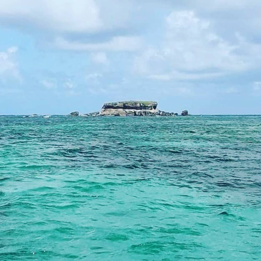 3h30 pour découvrir Le Marin en bateau à moteur