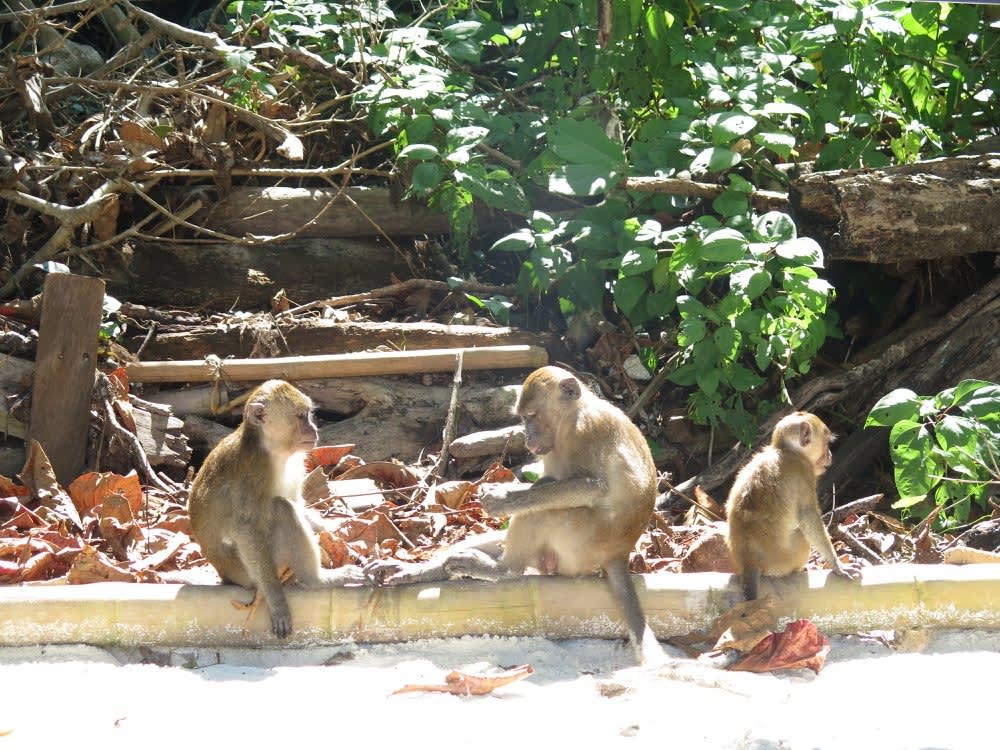 Découvrez les rivages de Krabi : une excursion d'une journée complète à bord d'un bateau à moteur