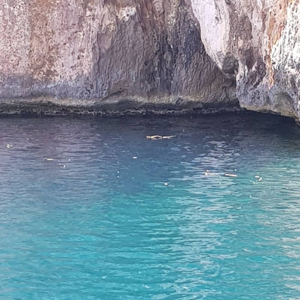 Gita privata in motoscafo intorno ad Alghero