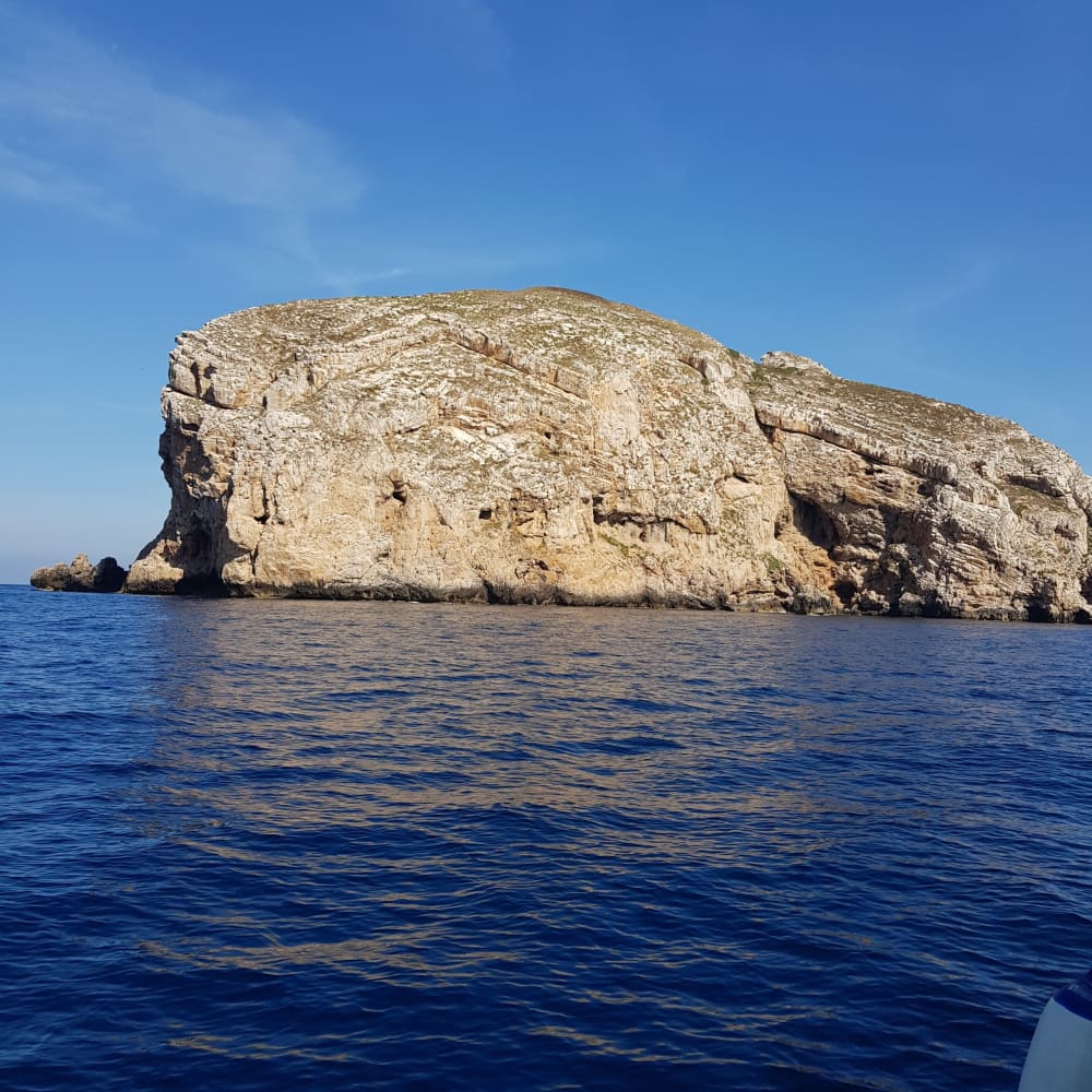 Gita privata in motoscafo intorno ad Alghero