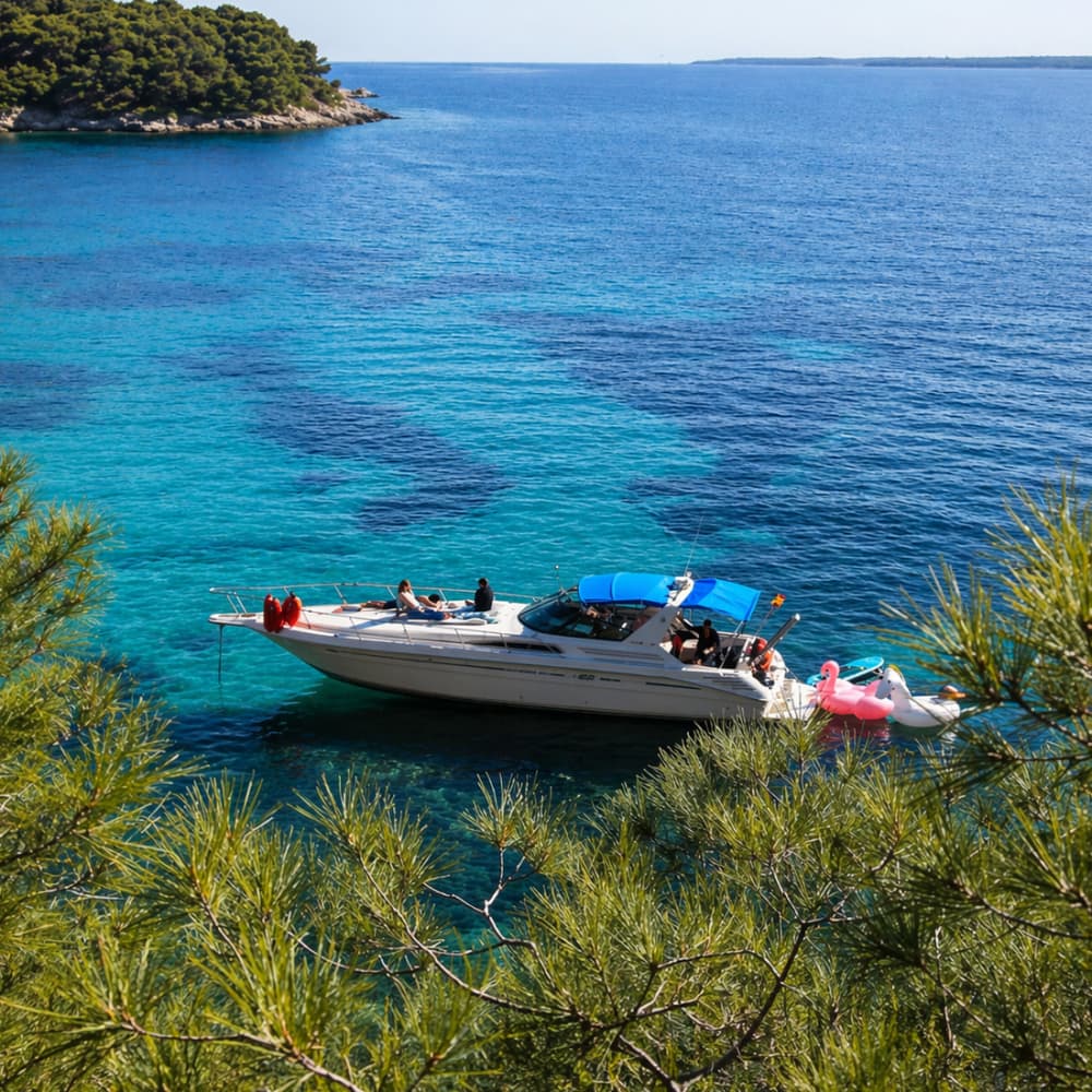 ⚓️A day around Mallorca: Enjoy 7 hours of discovery by speedboat.