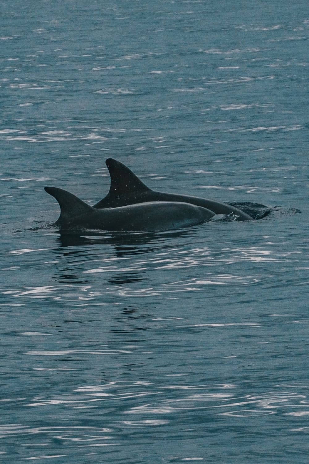 Passeio de barco privado pela Lagoa Azul e 3 Ilhas