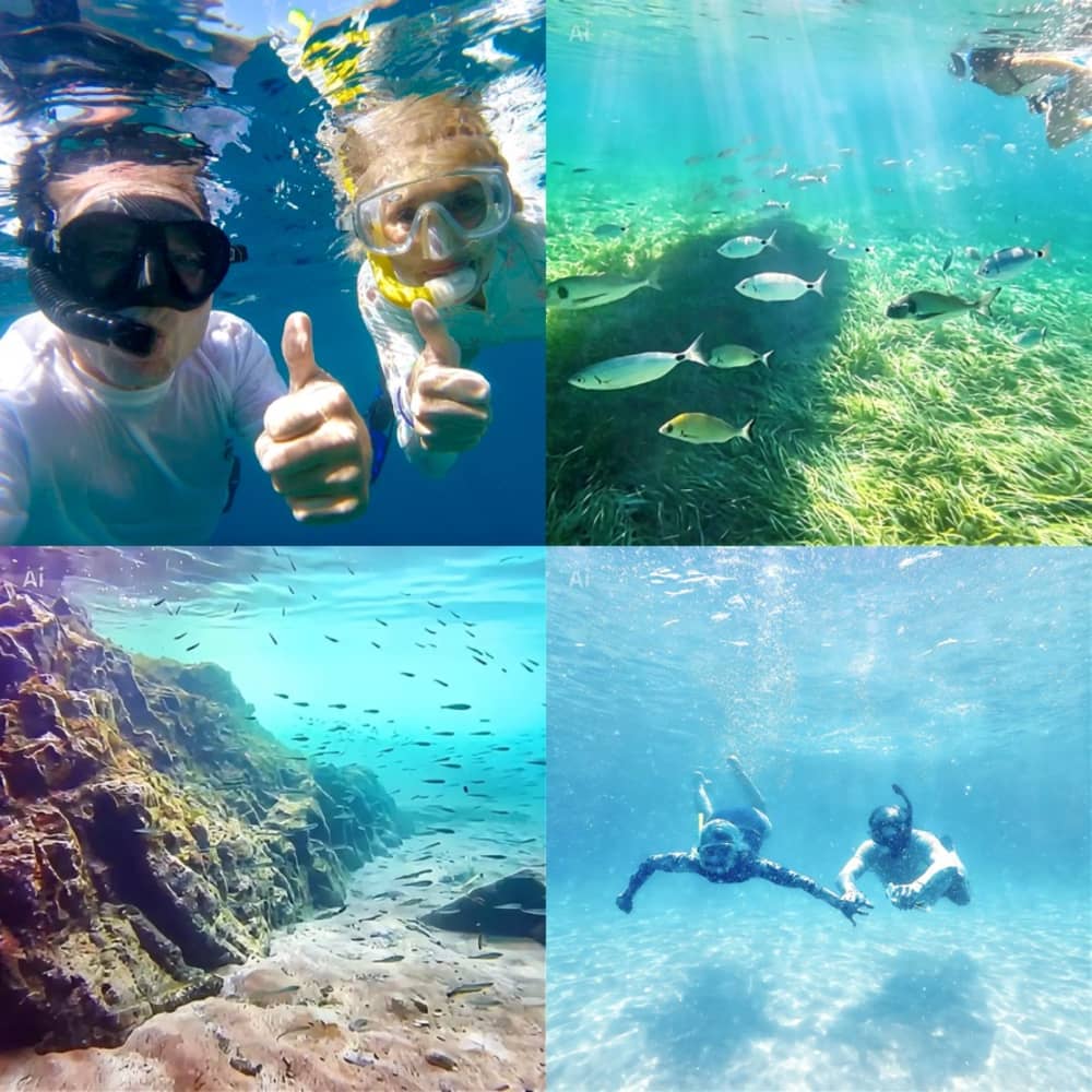 Spend a day exploring the magnificent Var calanques with swimming & snorkeling