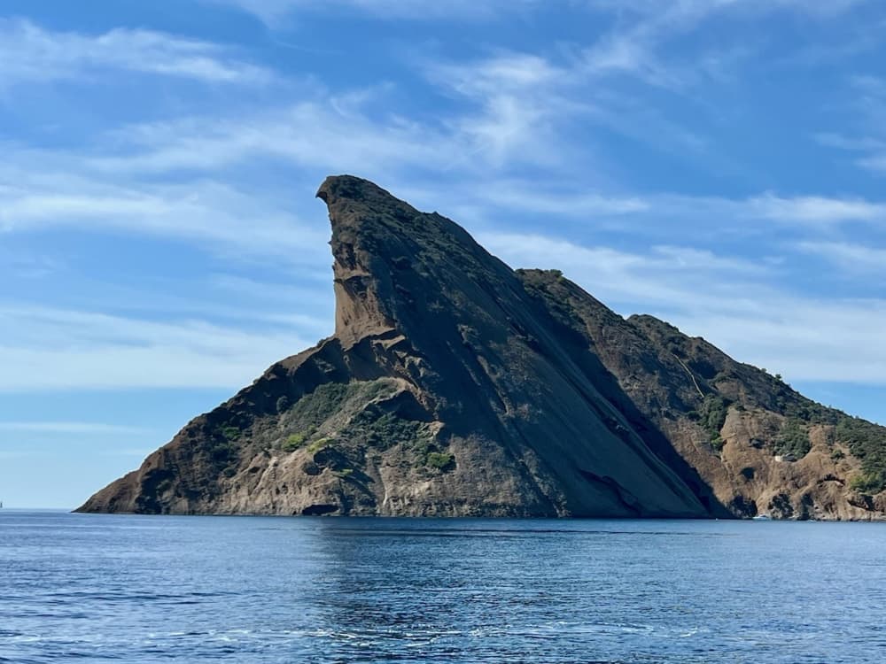 Découvrez les rivages de Bandol : une excursion d'une journée complète à bord d'un bateau à moteur