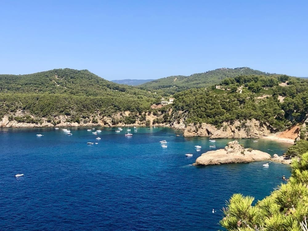 Découvrez les rivages de Bandol : une excursion d'une journée complète à bord d'un bateau à moteur