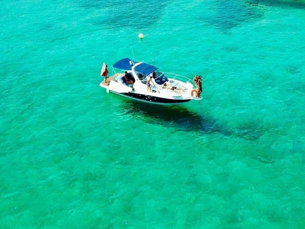 Découvrez les rivages de Bandol : une excursion d'une journée complète à bord d'un bateau à moteur