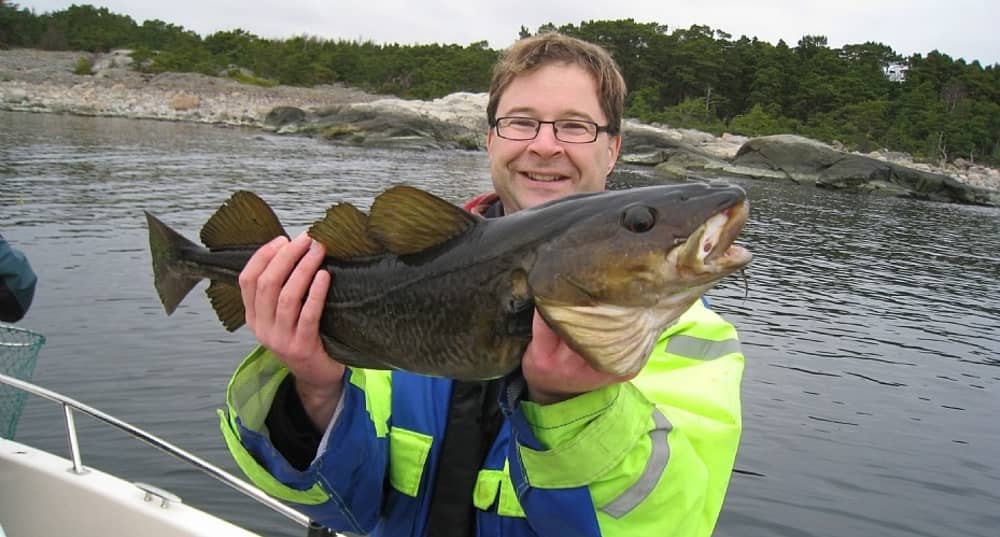 Ein Tag rund um Djurö: Genießen Sie 6 Stunden Entdeckungstour mit dem Motorboot