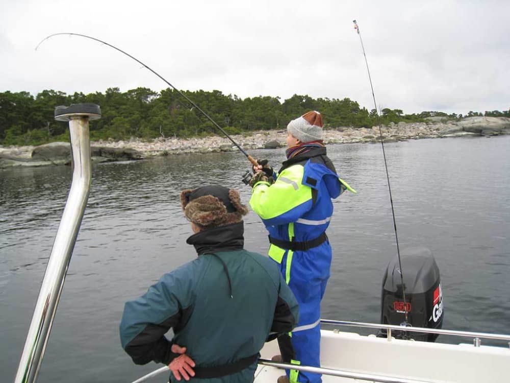 Ein Tag rund um Djurö: Genießen Sie 6 Stunden Entdeckungstour mit dem Motorboot