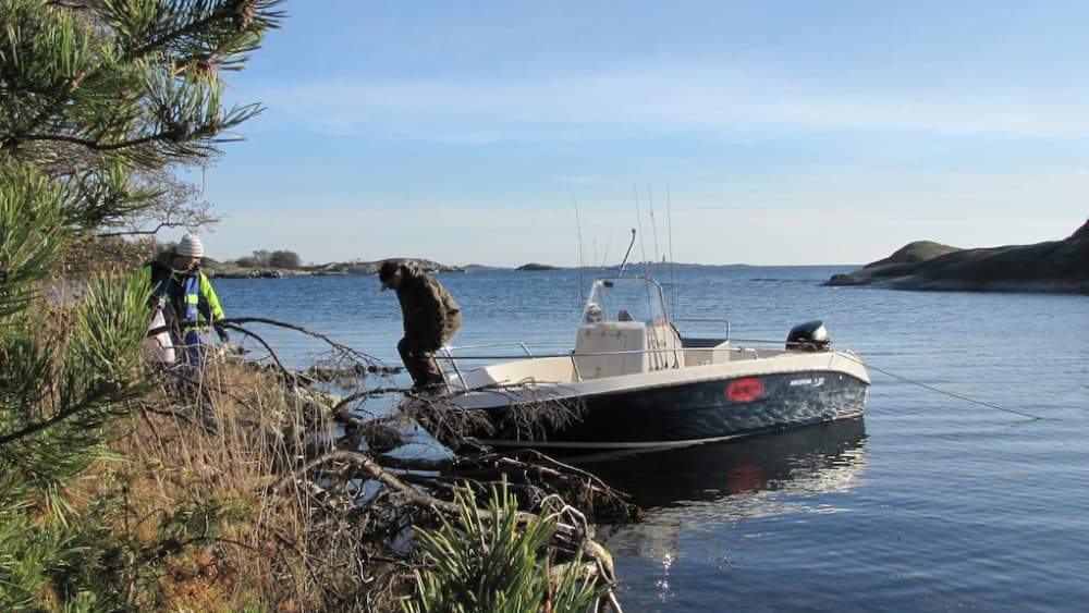 Ein Tag rund um Djurö: Genießen Sie 6 Stunden Entdeckungstour mit dem Motorboot
