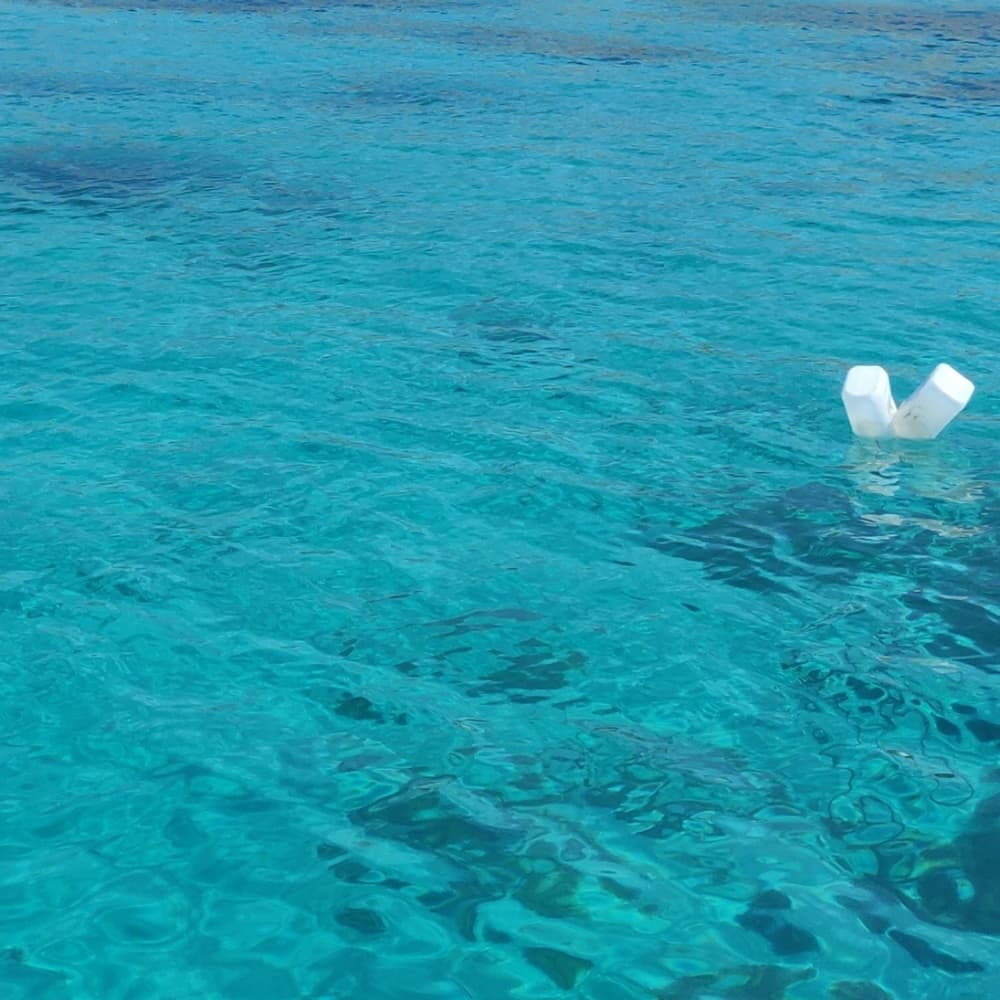 Reserve 8 horas para descobrir a magia escondida de Valletta a partir das ondas.