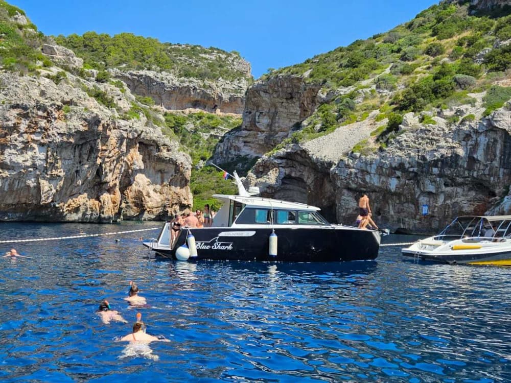 Privat solnedgångstur av Blue Shark Split