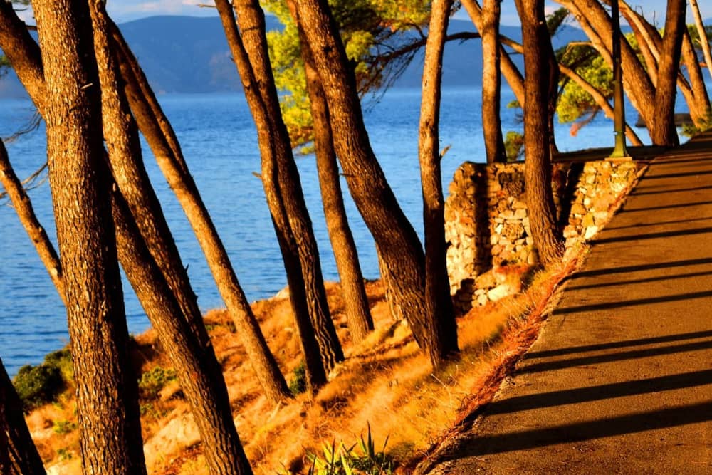 Speedboat experience | Hvar & Pakleni Islands tour