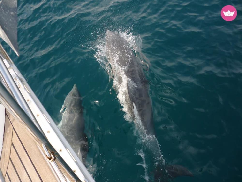 Unique Full-Day Experience: Total Relaxation and Stunning Coastal Views