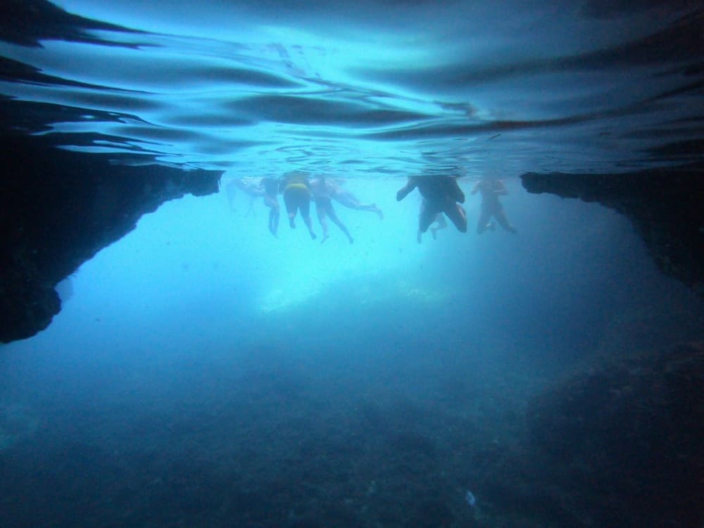 Fuga di un giorno alle Isole Elafiti da Dubrovnik