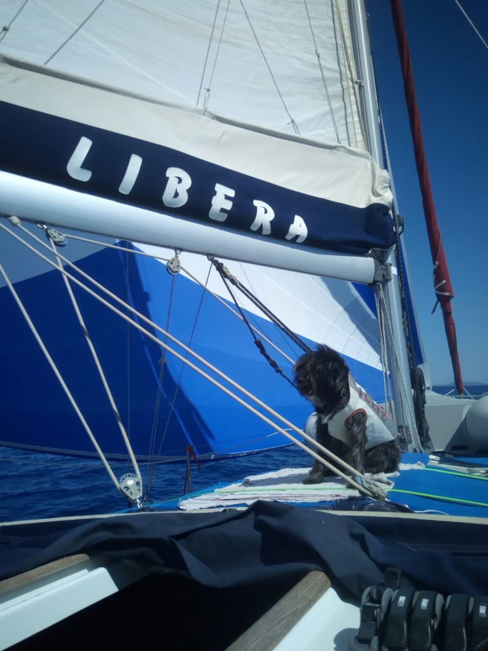 El ritmo de Palermo: Momentos inolvidables en un velero.