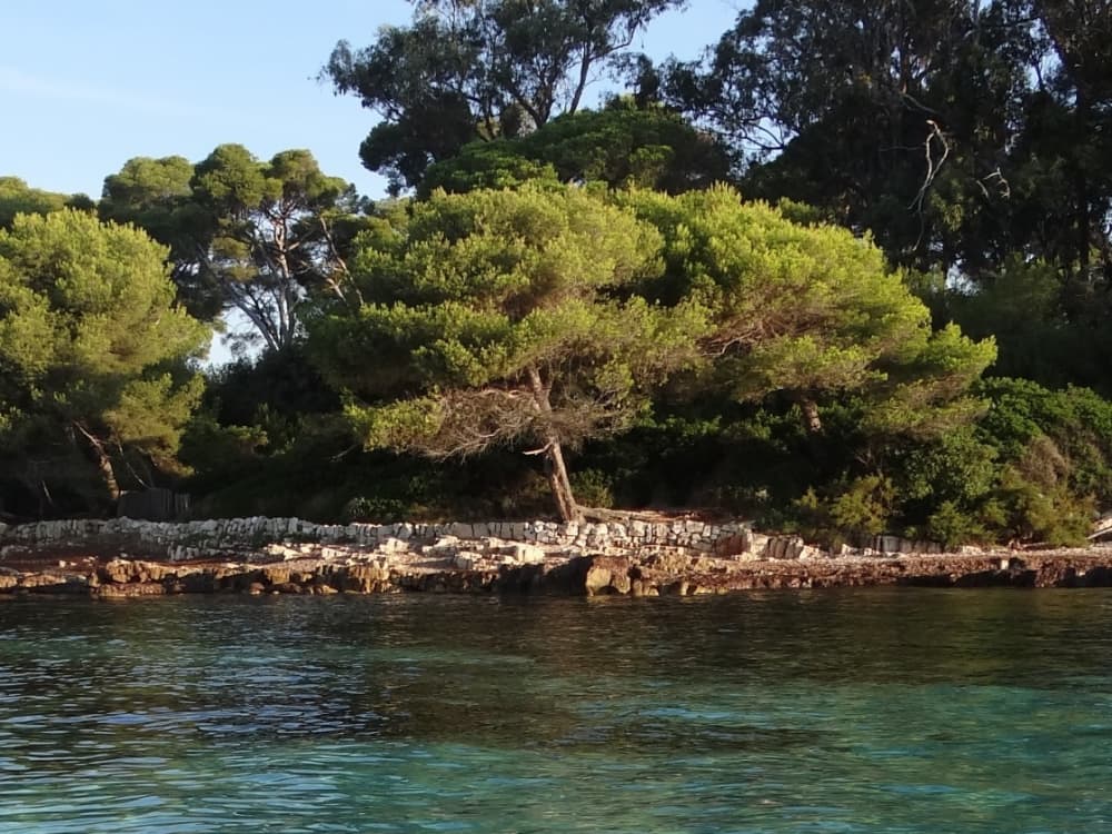 Una giornata magica ad Antibes a bordo di un motoscafo.
