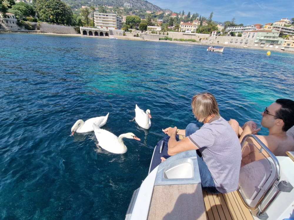 3:30, aby odkryć Saint-Jean-Cap-Ferrat łodzią motorową