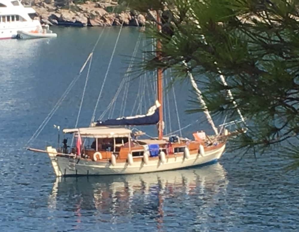 Profitez d'une journée en mer à Galaxidi à bord d'un voilier