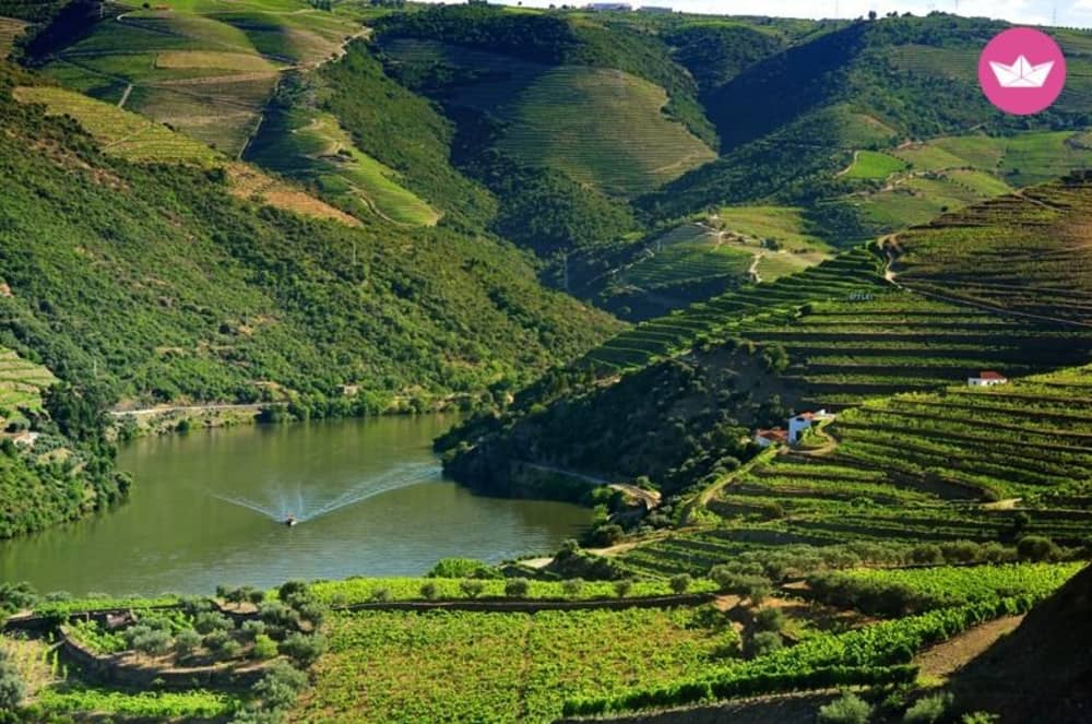 Recorrido exprés: Puentes y monumentos históricos en 2 horas