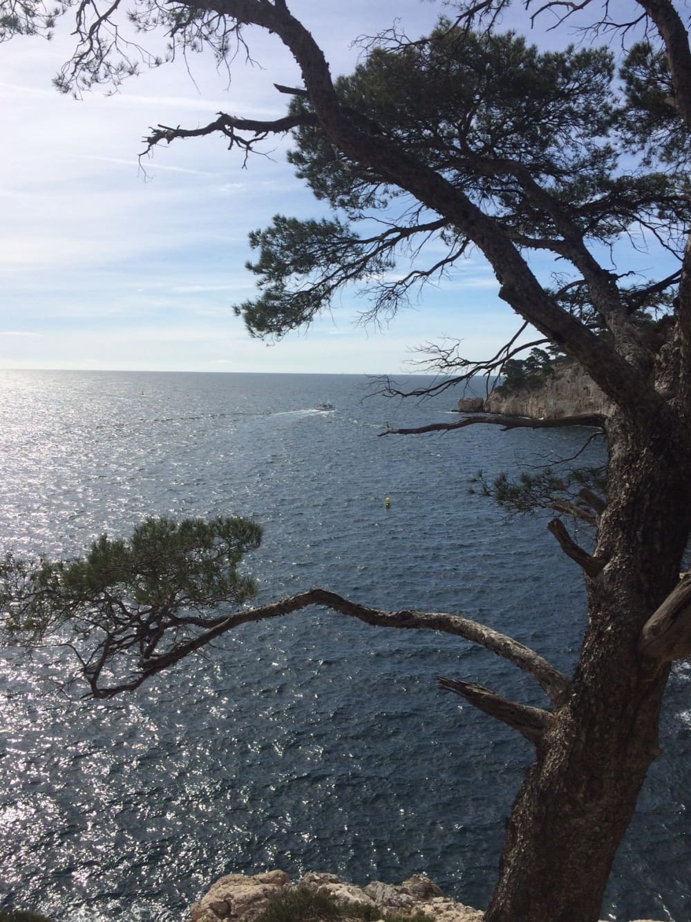 Segelvergnügen pur: Erleben Sie den Zauber von Hyères