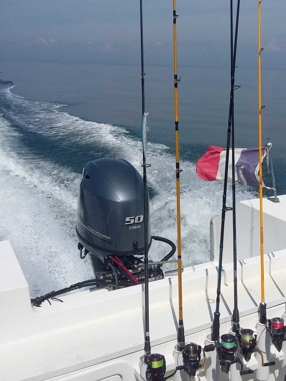 Erkunden Sie Noirmoutier in einem halben Tag: Mieten Sie ein Motorboot für 4 Stunden