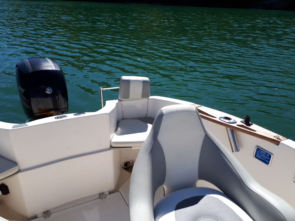 Goditi mezza giornata a bordo di un motoscafo nel Lac de Vouglans.