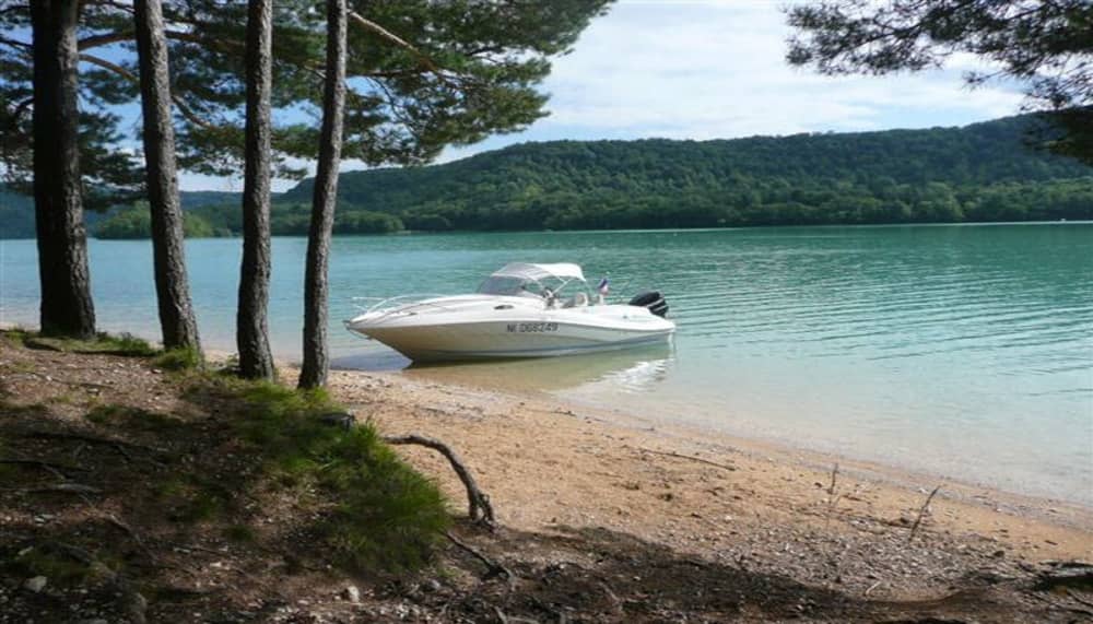 Goditi mezza giornata a bordo di un motoscafo nel Lac de Vouglans.